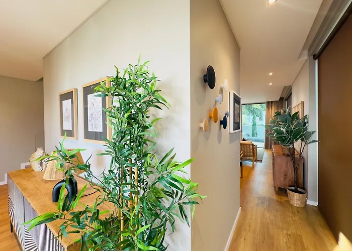 Blue Boat By Madeira * 丰沙尔