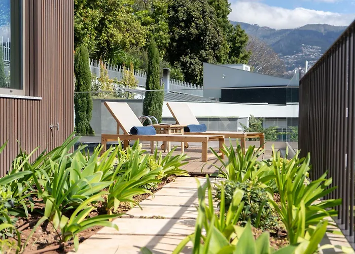 公寓 Blue Boat By Madeira