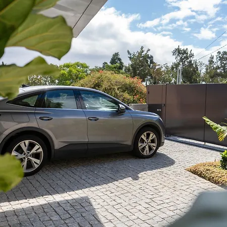 Blue Boat By Madeira فونشال
